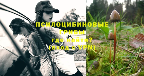 прущая мука Абаза