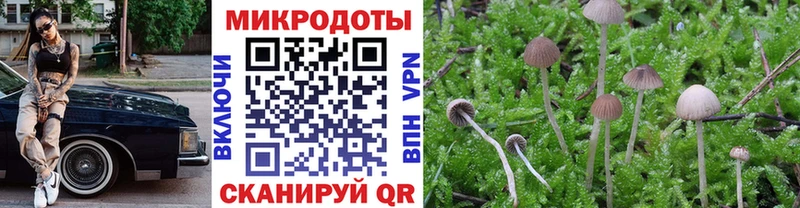 Галлюциногенные грибы мицелий  Кандалакша 